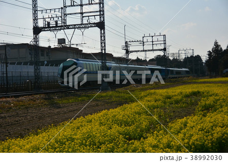 しまかぜと菜の花 しまかぜと菜の花 38992030