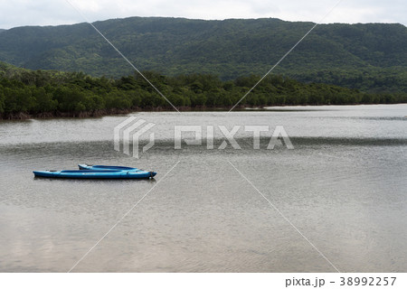 船浦海中道路付近の風景 船浦海中道路付近の風景 38992257