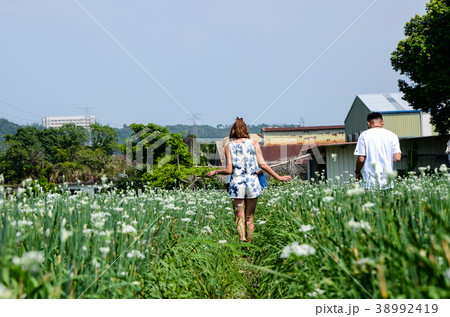チャイブ 浅葱 あさつき 38992419