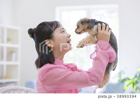 ヨークシャテリアを抱き上げる女の子の写真素材