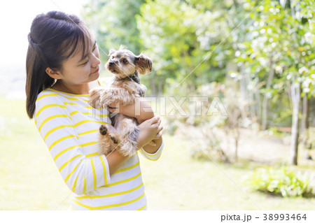 女の子とヨークシャテリア 38993464