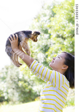 女の子とヨークシャテリア 38993465