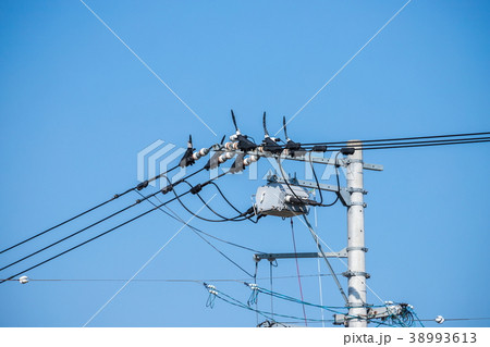 電柱 38993613