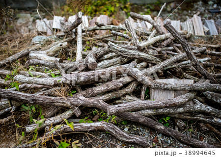 切られた木 38994645