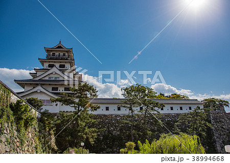 愛媛県 光を浴びた今治城 愛媛県 光を浴びた今治城 38994668