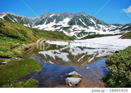 新緑と残雪の北アルプス 立山連峰 38995420