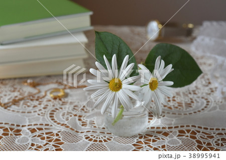 机の花 マーガレット 葉はマーガレットのものではありません の写真素材