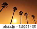夏の日の夕暮れ 38996465
