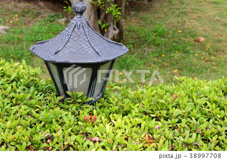 Garden lamp with green grass Garden lamp with green grass 38997708