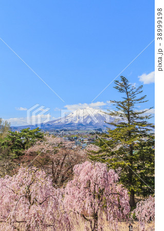 移転後の弘前城の天守からみた風景 38999198