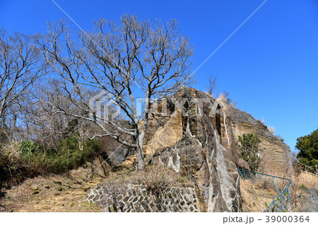鷹取山公園の風景 鷹取山公園の風景 39000364
