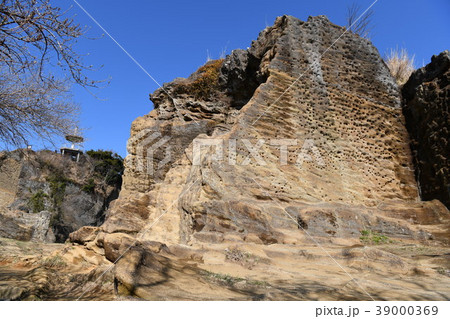 鷹取山公園の風景 鷹取山公園の風景 39000369