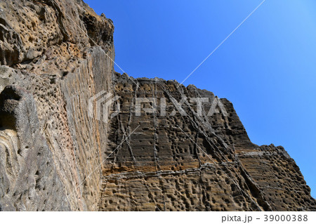 鷹取山公園の風景 39000388