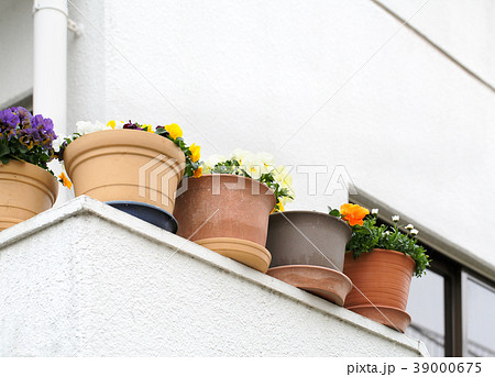 ベランダに置いてある植木鉢 ベランダに置いてある植木鉢 39000675