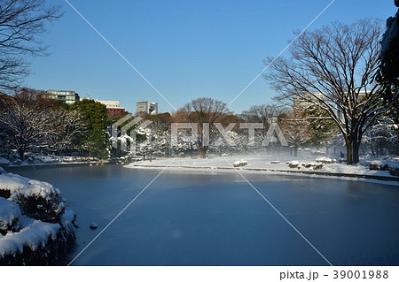 大雪の朝 39001988