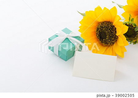 ギフトイメージ 39002505