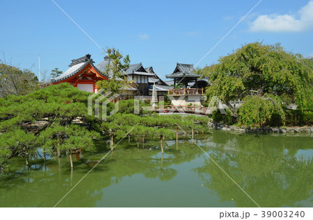 宇賀神社 宇賀神社 39003240