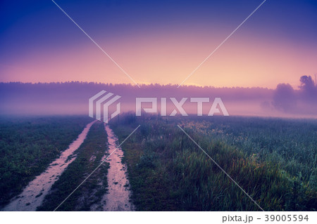 A country road through a field in a misty morning 39005594
