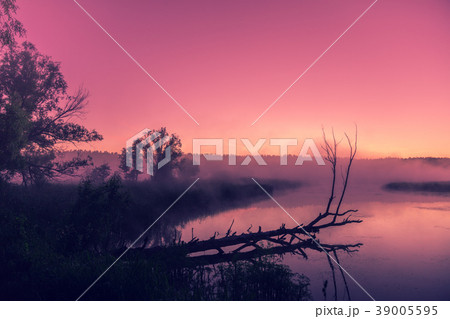 A misty morning over the river. Rural landscape 39005595