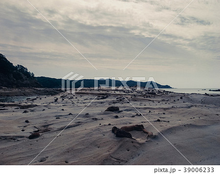 波食や風食によって形成された特殊な海岸 39006233