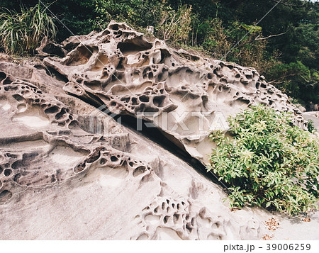 自然に出来た奇岩の風景（日本・高知県・竜串海岸） 39006259