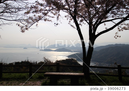 桜越しの瀬戸の陽光 39006273