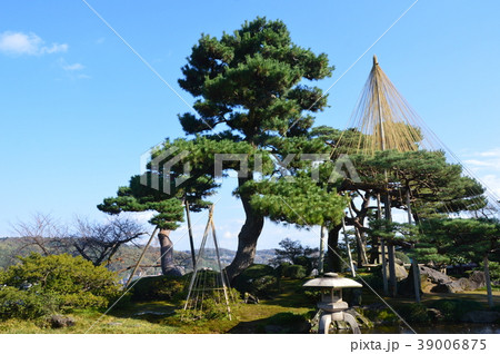 松･雪つり（兼六園／石川県金沢市） 39006875