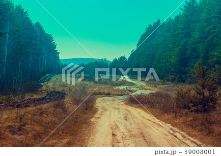 Dirt windy road among forest 39008001