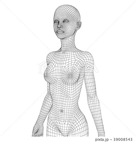 ワイヤーフレーム 女性の体 Perming3dcgイラスト素材のイラスト素材
