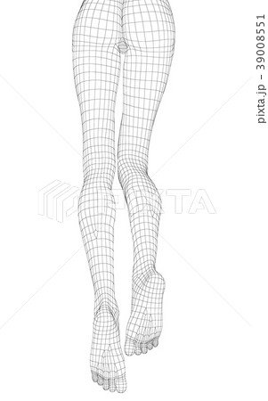ワイヤーフレーム 女性の体 perming3DCGイラスト素材 39008551