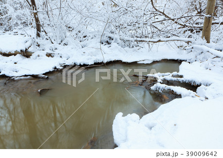 Small stream in winter forest 39009642