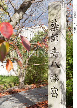 薬師寺 39009998