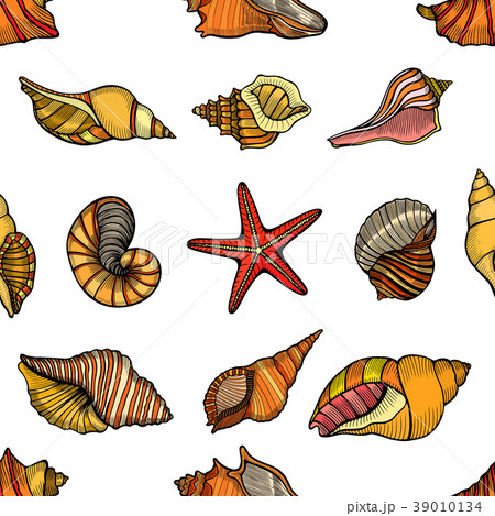 seamless pattern shells 39010134