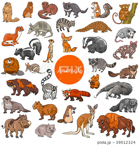 wild mammals animal characters big set 39012324