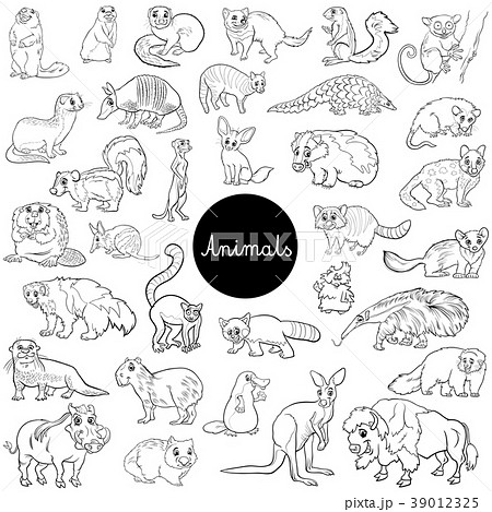 wild mammals animal characters set color book 39012325