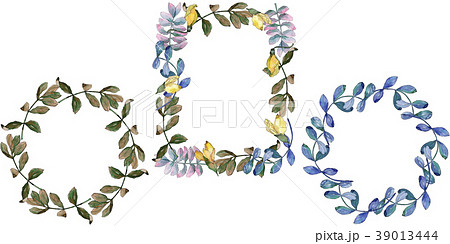 Acacia leaves frame in a watercolor style. Acacia leaves frame in a watercolor style. 39013444