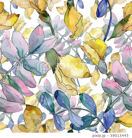 Acacia leaves pattern in a watercolor style. 39013445