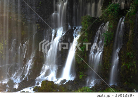 白糸の滝 白糸の滝 39013897