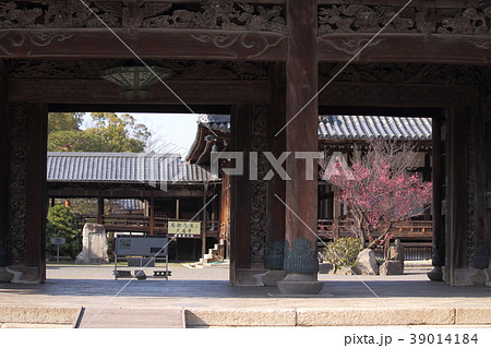 長浜 大通寺 長浜 大通寺 39014184