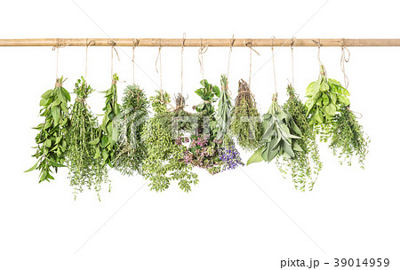 Fresh herbs white background Thyme basil rosemary Fresh herbs white background Thyme basil rosemary 39014959