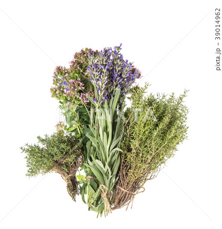 Fresh herbs isolated white background Spices food Fresh herbs isolated white background Spices food 39014962