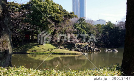 小石川後楽園の池 小石川後楽園の池 39015447