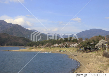 春の小海公園にて(河口湖) 春の小海公園にて(河口湖) 39015963