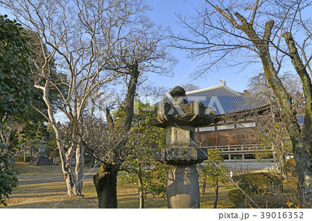 泉福寺　本堂　庭園　埼玉県　桶川市 39016352