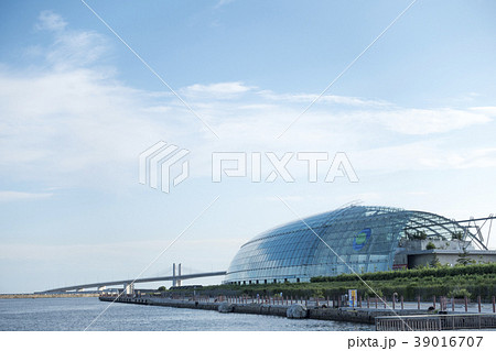 ふくしま海洋科学館環境水族館アクアマリンふくしま新海洋ミュージアム 39016707