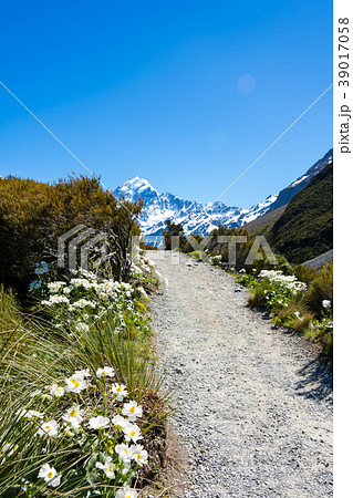 ≪ニュージーランド≫マウントクック　フッカーバレートラック 39017058