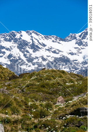 ≪ニュージーランド≫マウントクック　フッカーバレートラック 39018051