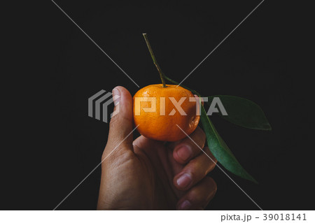 Yellow mandarin fruits 39018141