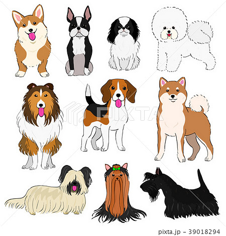 小型犬の素材 手描きのイラスト素材 39018294 Pixta