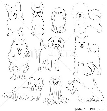小型犬の素材 手描き 線画のイラスト素材
